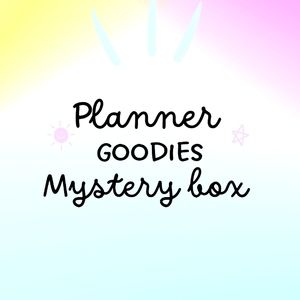 Big Planner Mystery Box Please Read